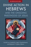 Divine Action in Hebrews - And the Ongoing Priesthood of Jesus